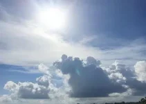 segredos do antigo artigo