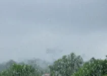 pancadas fortes e rápidas