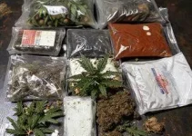 apreensão de maconha e cocaína