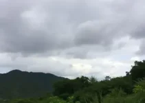 previsão do tempo Jequié