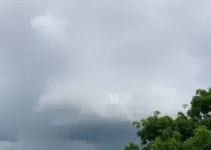 melhorar seu antigo artigo