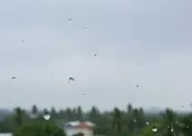 Jequié deve ter um dia com chances de chuva rápida neste sábado