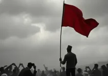 concurso público