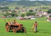 máquinas agrícolas