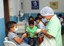 saúde bucal nas creches municipais