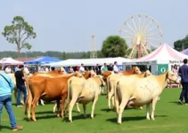 Expo Jequié 2026