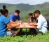 Programa Bahia pela Paz