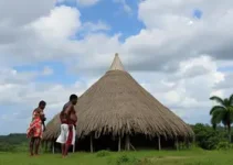 Zé Cocá