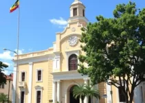 editais de fomento à cultura