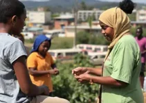 programa social na comunidade