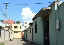 feira de saúde